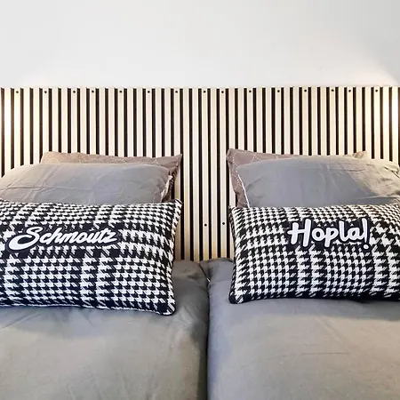 La Grange D'andre - - 8 Personnes - Proche Europa Park * Elsenheim