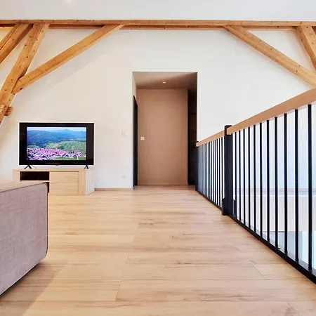 La Grange D'andre - - 8 Personnes - Proche Europa Park Holiday home *