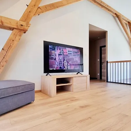 La Grange D'andre - - 8 Personnes - Proche Europa Park *